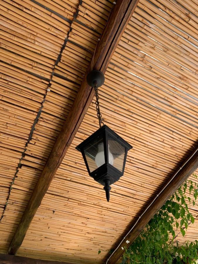 リーパリCasa Diana Ariannaアパートメント エクステリア 写真