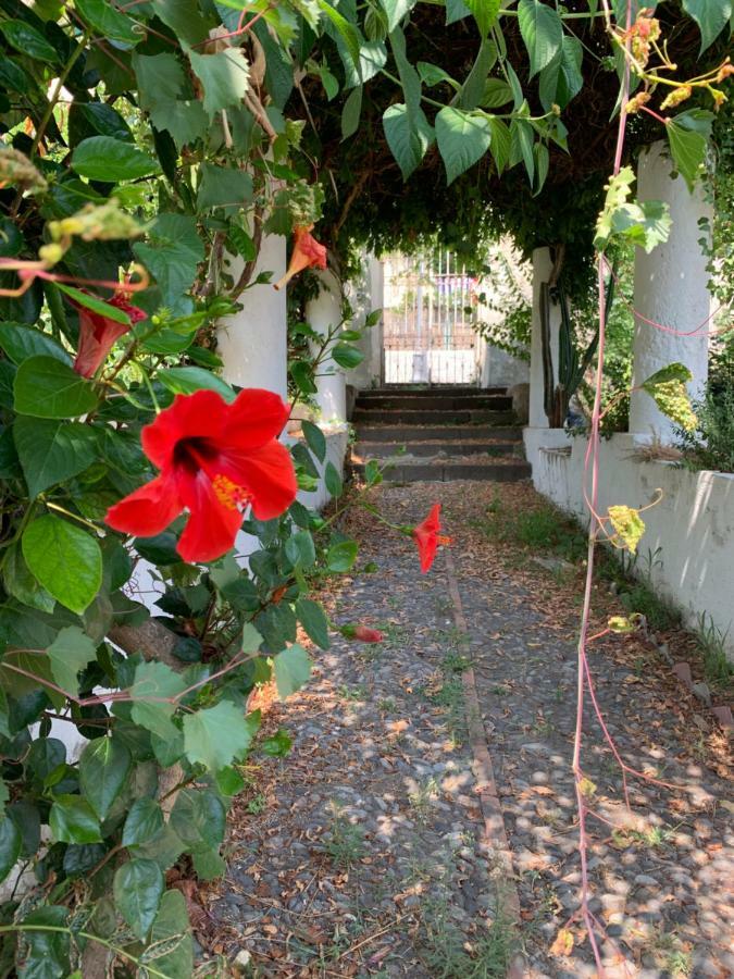 リーパリCasa Diana Ariannaアパートメント エクステリア 写真